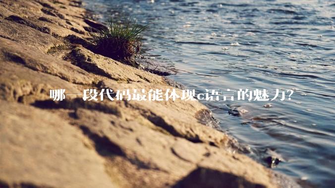 哪一段代码最能体现c语言的魅力？